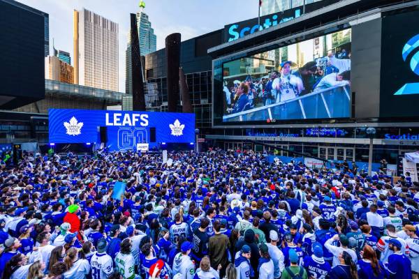 TORONTO MAPLE LEAFS