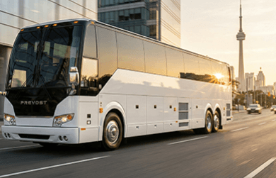 Sightseeing Tours