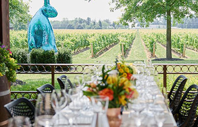 Wine-Tour